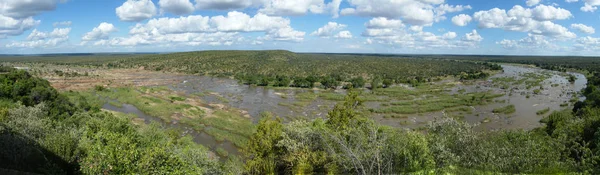 Пар Оліфанти Крюгер Парк Панорама — стокове фото