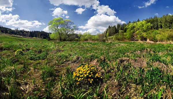 Piękna Bawaria Oficjalnie Wolne Państwo — Zdjęcie stockowe