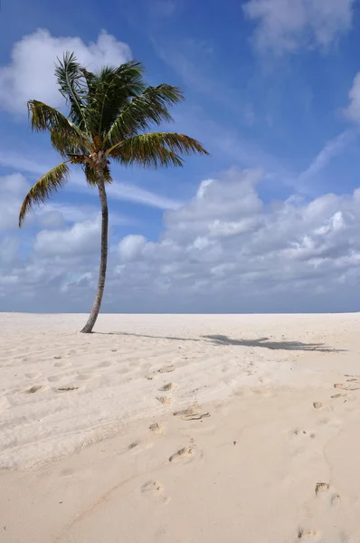 Dunas Arena Desierto — Foto de Stock