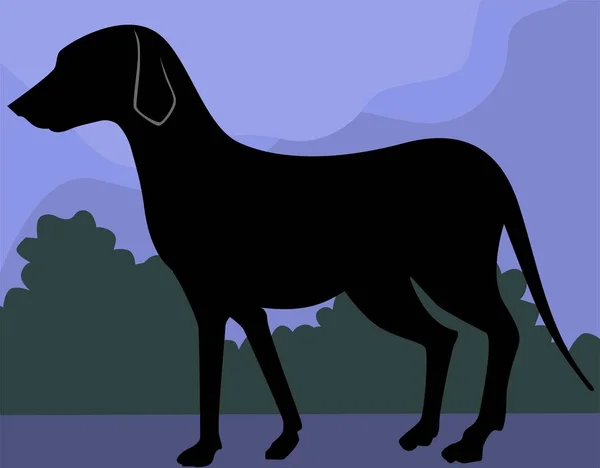 Vektor Illustration Einer Hundesilhouette — Stockfoto