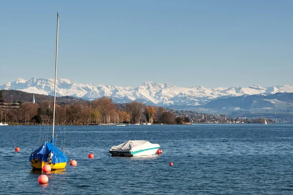 Zurich Meer Met Alpen — Stockfoto