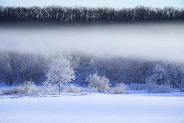 Utsikt Över Vinterscen — Stockfoto