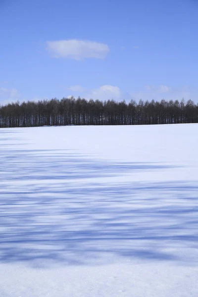 Pohled Zimní Scénu — Stock fotografie