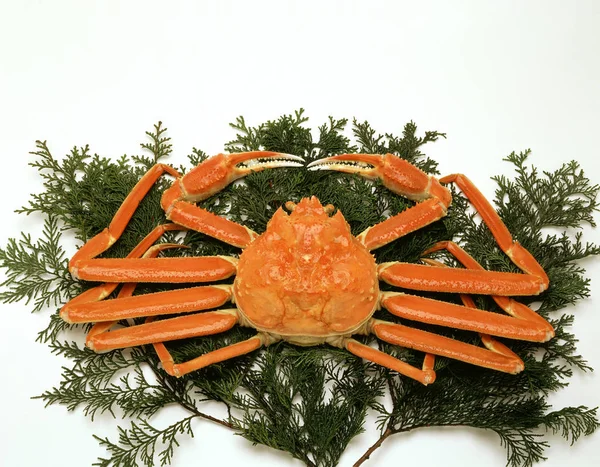 Gros Crabe Sur Fond Blanc — Photo