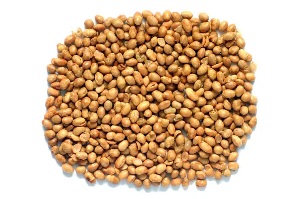 白い背景に隔離された宗谷ナッツ コレステロール値に良い大豆タンパク質が含まれています — ストック写真