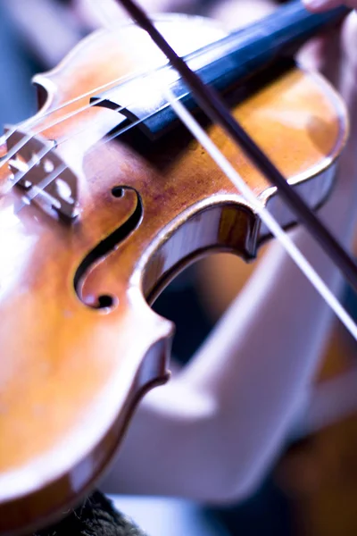 Violín Instrumento Musical Instrumentos Musicales Cierre — Foto de Stock