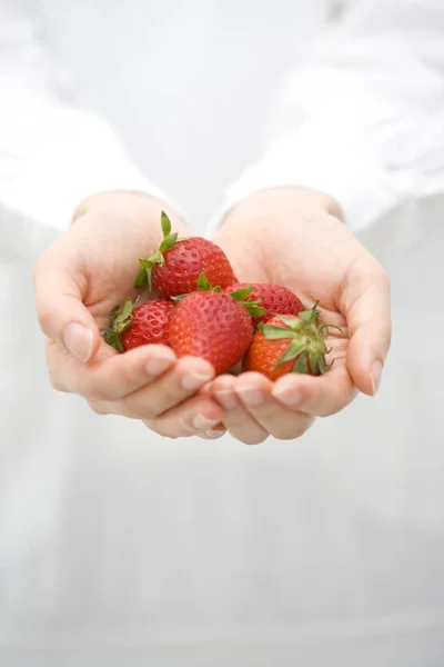 Fragole Fresche Nelle Mani Della Donna — Foto Stock