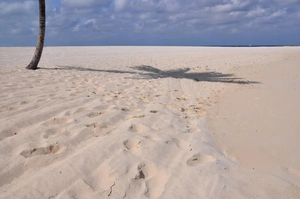 Dunes Sable Dans Mer Baltique — Photo