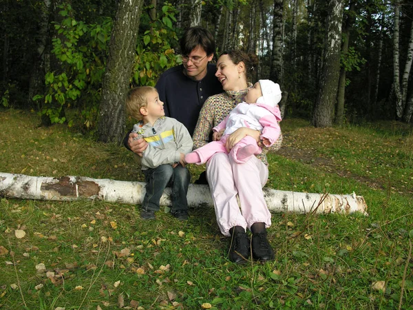 Family Birch Autumn Wood — Stock Photo, Image