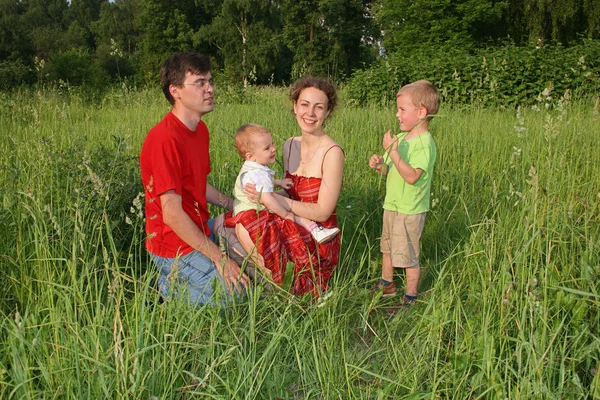 4人家族が牧草地で — ストック写真
