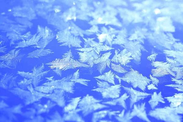 Uitzicht Een Winterse Scène — Stockfoto