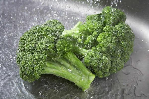 Grøn Broccoli Vegetarisk Planteføde - Stock-foto
