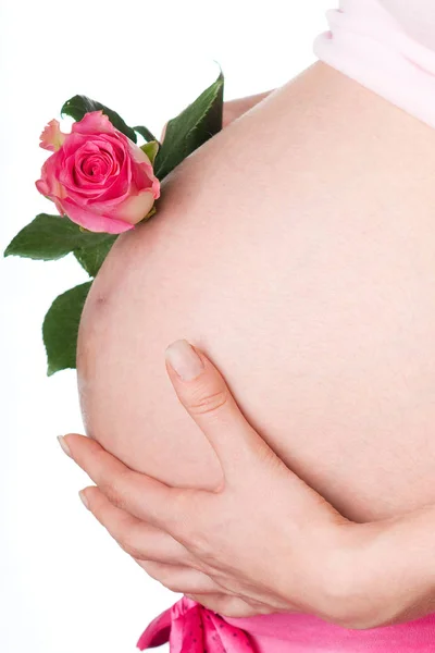 Zwangere Vrouw Met Roze Roos Rechtenvrije Stockafbeeldingen