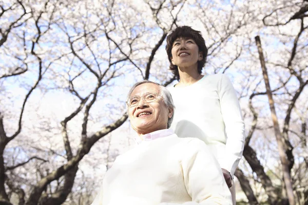 Japanska Glada Senior Par Promenader Utomhus — Stockfoto