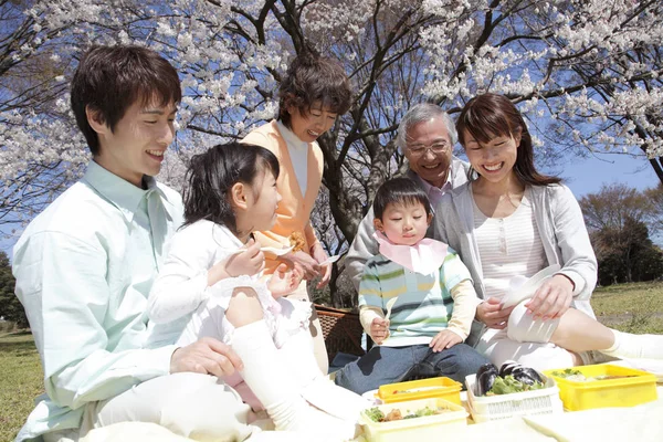 Porträtt Japansk Familj — Stockfoto