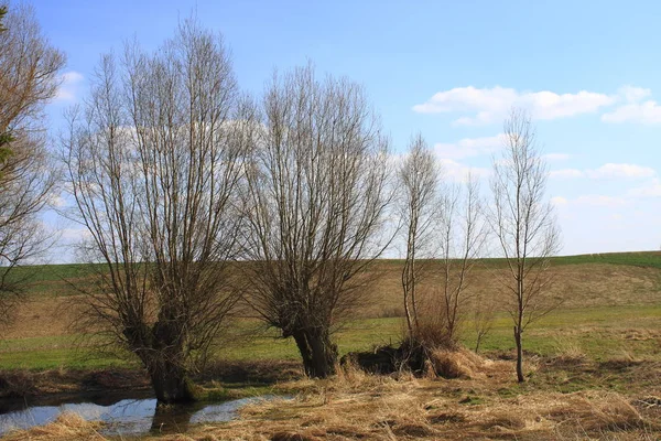 Vacker Utsikt Över Naturen — Stockfoto