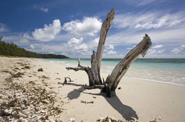 Bellissimo Paesaggio Tropicale Spiaggia — Foto Stock