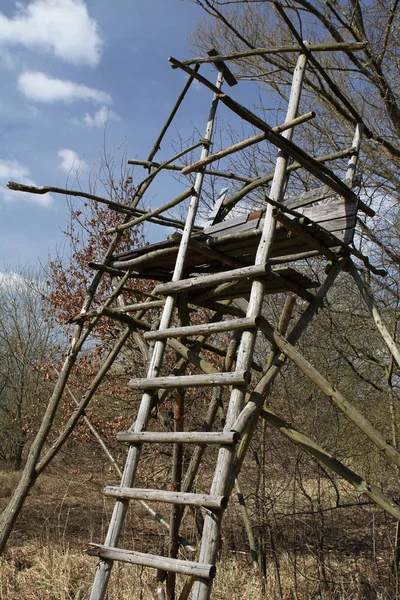 Dřevěná Stavba Parku — Stock fotografie