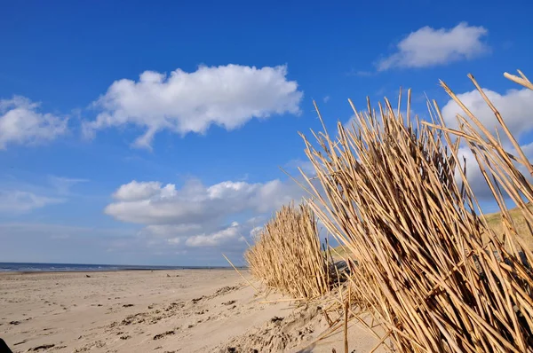 Scenic View Dunes Selective Focus — Stock Photo, Image