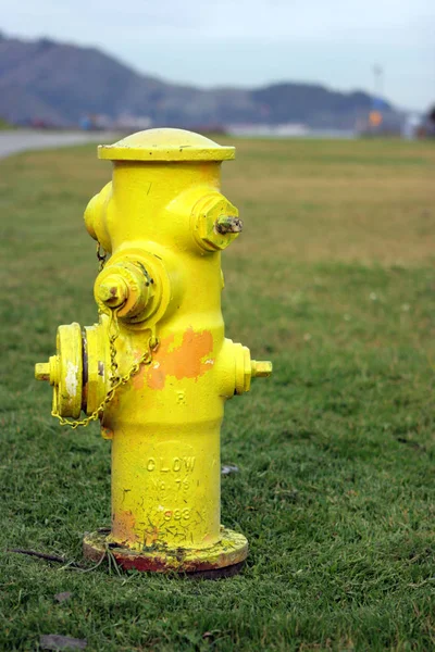 Feuerhydrant Park — Stockfoto