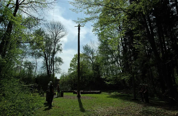 Widok Zielone Lasy — Zdjęcie stockowe