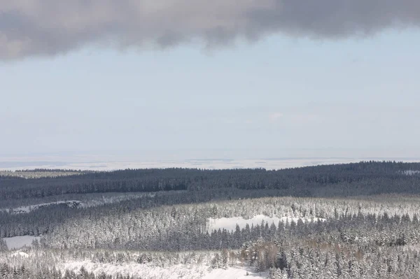 Vista Pitoresca Paisagem Inverno Coberto Neve — Fotografia de Stock