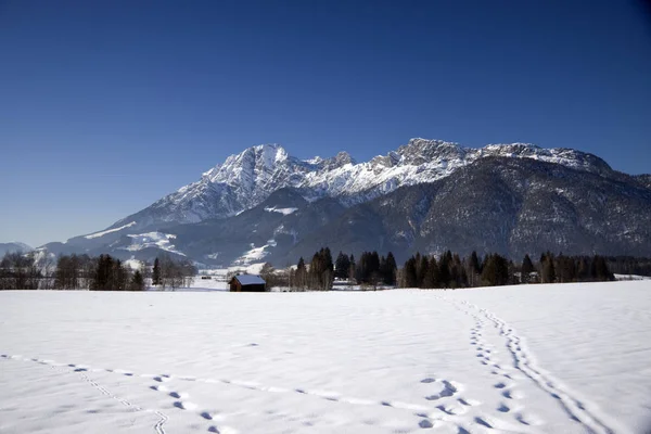 Vista Panorâmica Bela Paisagem Alpes — Fotografia de Stock