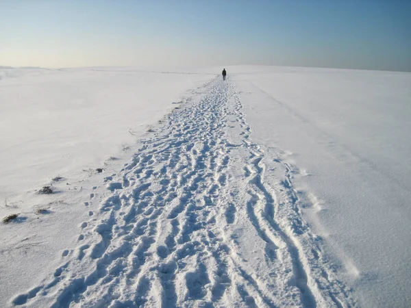 Sporen Sneeuw — Stockfoto