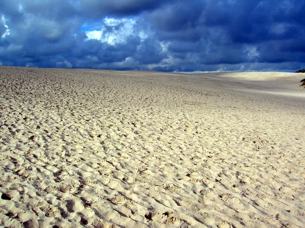 Scenisk Över Sanddyner Selektivt Fokus — Stockfoto