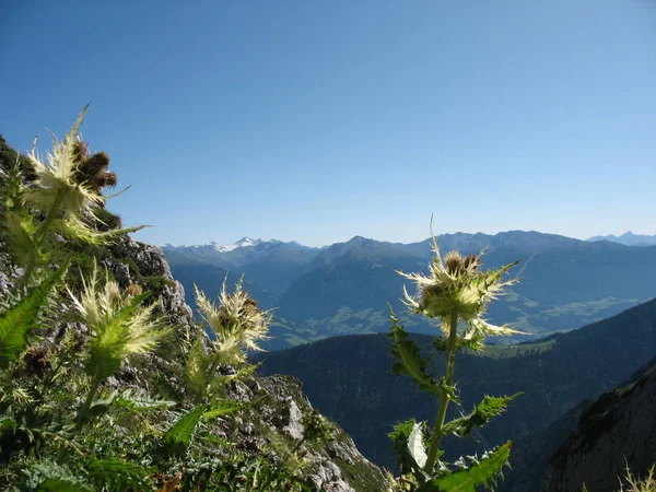 Festői Kilátás Fenséges Alpok Táj — Stock Fotó