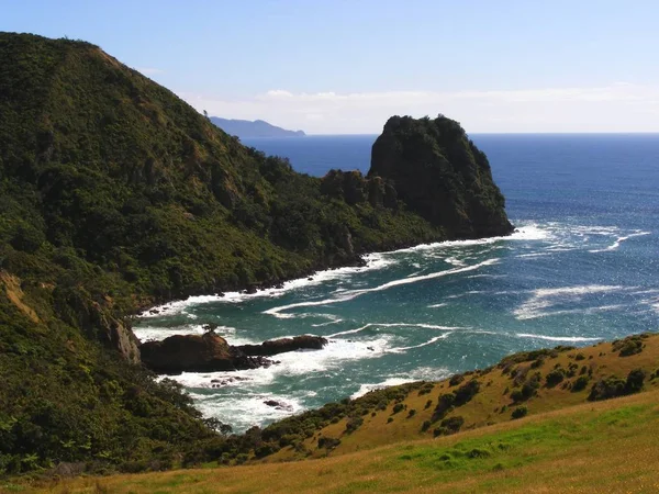 Beleza Coromandel — Fotografia de Stock