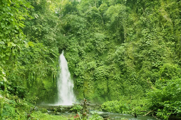 Bella Cascata Sullo Sfondo Della Natura — Foto Stock