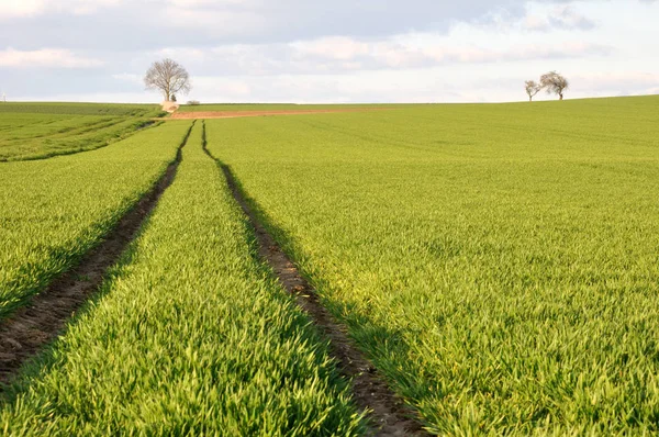 Schöne Aussicht Auf Die Natur — Stockfoto