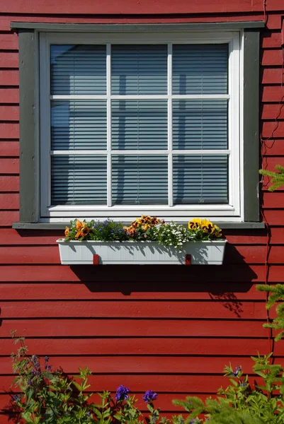 Vita Och Röda Hus Prossenfenster — Stockfoto