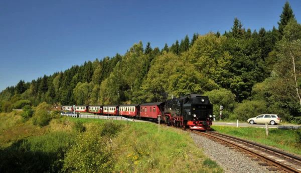 Concern Harz — Stock Photo, Image