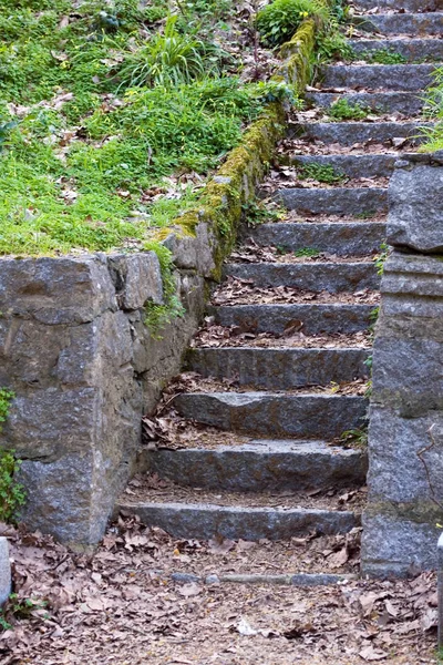 Каменная Лестница Лесу Моншик Алгарве — стоковое фото
