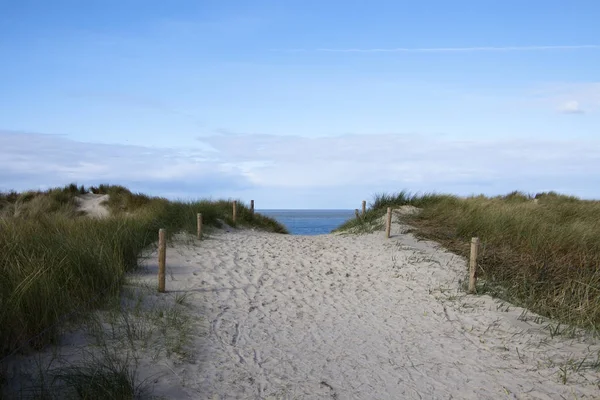 Dunes Baltic Sea — Stock Photo, Image