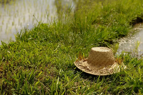 Sombrero Paja Hierba —  Fotos de Stock