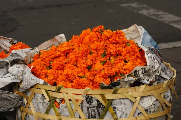 Dried Flowers Wooden Basket — Stock Photo, Image