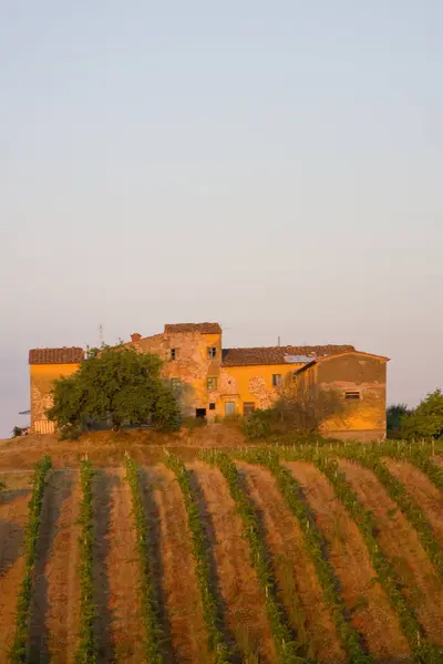 View Tuscany Coastline — Stock Photo, Image