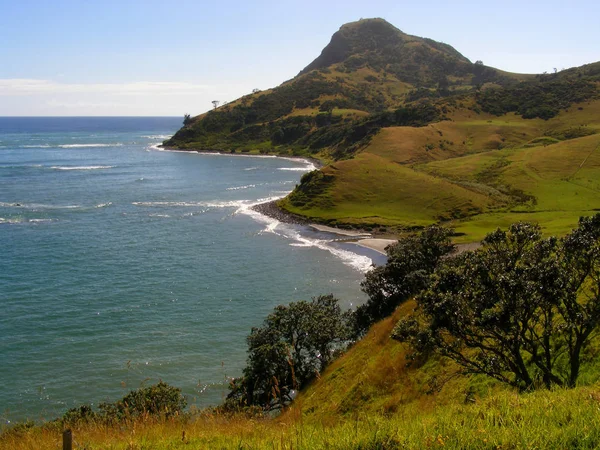 Beleza Coromandel — Fotografia de Stock