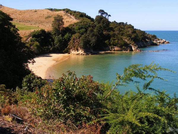 Sur Les Traces Abel Tasman — Photo