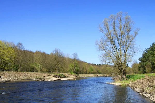 Schöne Aussicht Auf Die Natur — Stockfoto