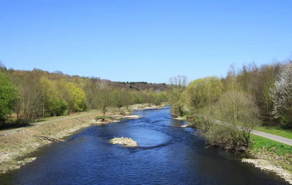 Řeka Jarním Lese — Stock fotografie