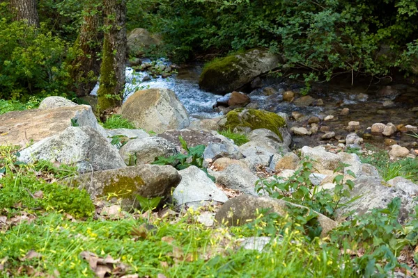 阿尔加夫 波尔图加尔山区溪流 — 图库照片