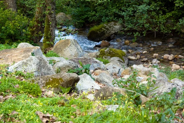 Mountain Stream Monshique Algarve Πορτογαλία — Φωτογραφία Αρχείου