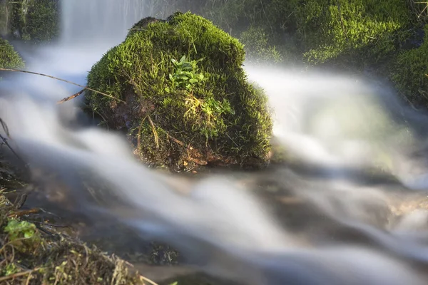 Cascata Natura Flusso Acqua — Foto Stock