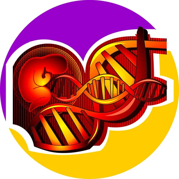 Gén Kromoszóma Dns Sejtek — Stock Fotó