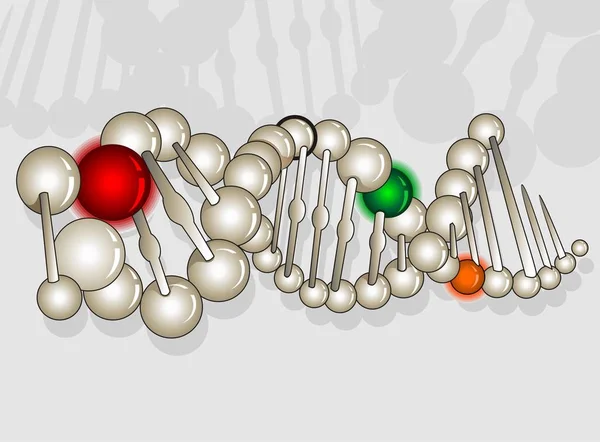 Genetyka Gene Chromosom Komórki Dna — Zdjęcie stockowe