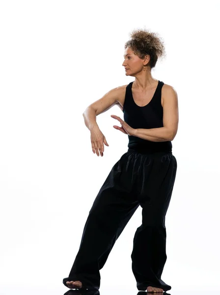 Vrouw Tai Chi Chuan Houding — Stockfoto